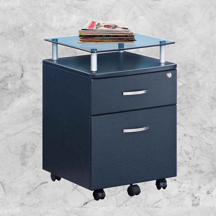 Ivy Bronx Pagar 16'' Wide 2 Drawer Mobile Vertical Filing